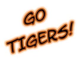  Go Tigers!